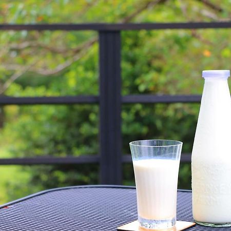 Taketa The Guernsey Hotel & Resort מראה חיצוני תמונה